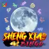 Sheng Xiao Bingo