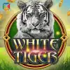 White Tiger