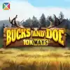 Bucks and Doe 10K Ways