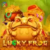 Lucky Frog