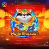 Ninja Raccoon