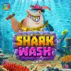 Shark Wash