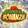 Christmas Bonanza