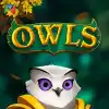 Owls