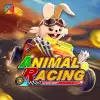 ANIMAL RACING