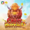 CRAZY BUFFALO