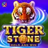 Tiger Stone