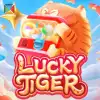 LUCKY TIGER