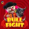 Bull Fight